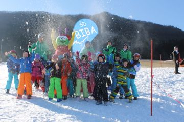 Ashleye template image news